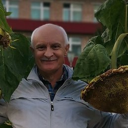 ���� �����, ������, 59 ��� - ��������� 17 ����� 2025