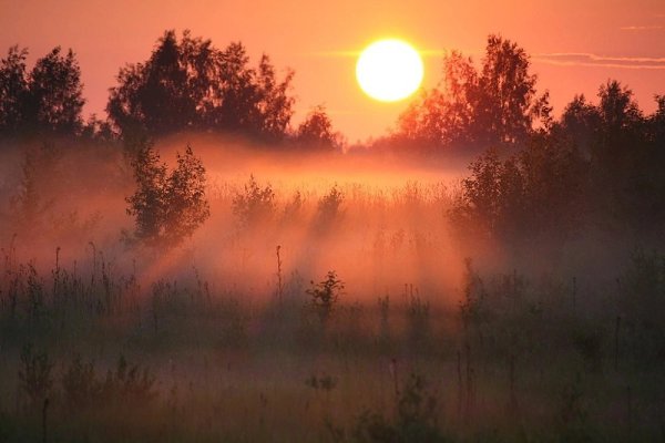  , ,  " "      .   , ... - 6