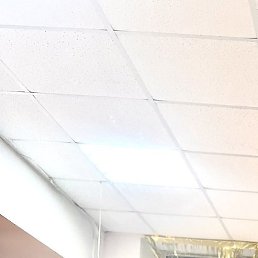 ������, ���, 33 ����