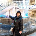 ���� ����� �������, ������, 61 ��� - ��������� 15 ������ 2026 � ������ ���� ����������