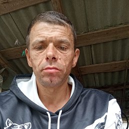  , 43, 