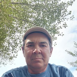 , 53 , 