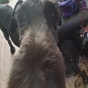 ���� ���������, ������ ���, 20 ��� - ��������� 3 ������� 2024 � ������ ������ ��������