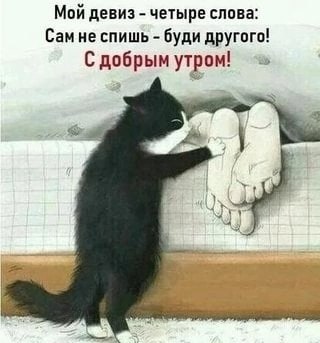   ,    . - 20  2025  07:47