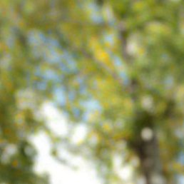 ������, �����������, 52 ����