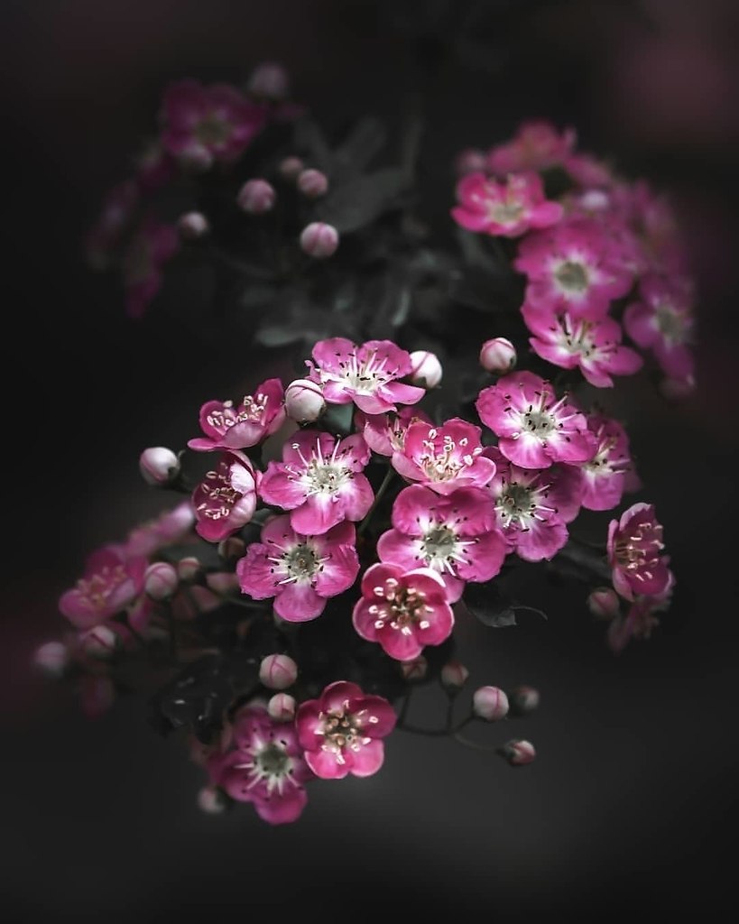 ��������� �� ����� � ������ ������ ���� �� ������������. � ������ ������� - 4