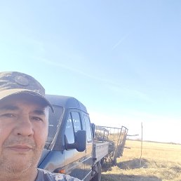 , 57, 
