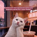 ���� �������, �����������, 60 ��� - ��������� 17 ������� 2026 � ������ ������ ��������