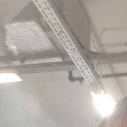 �����, �����������, 41 ���