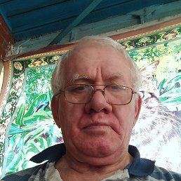 , 67, 