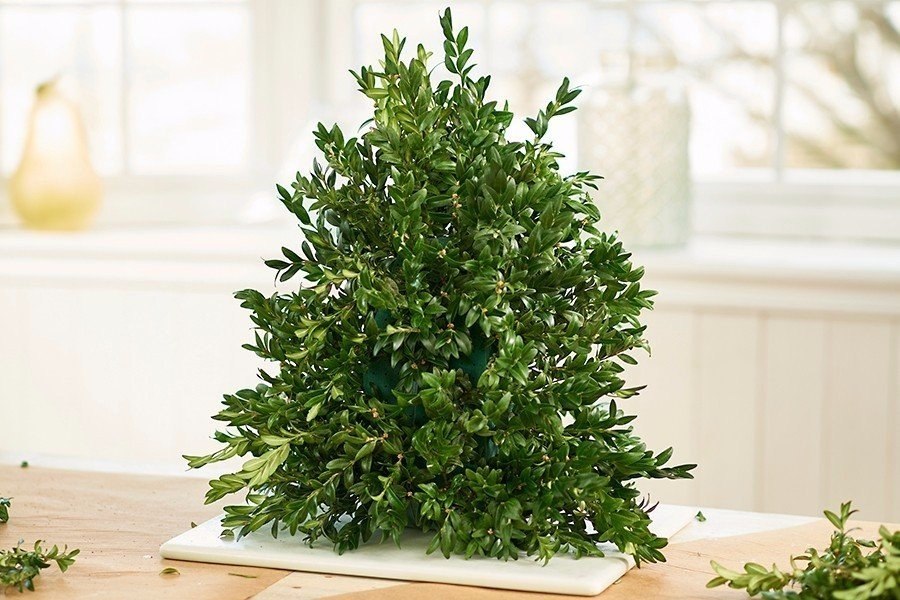 ��� ������� ����-������ ������ ������ - 8