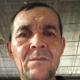 ���������� ���������, �����, 48 ���