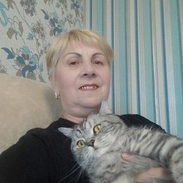 , 61, 