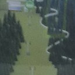 �������, ������, 49 ���