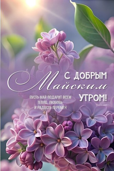 #доброеутро.Доброго утра! Хорошего дня!Эти слова повторяем не зря.Ведь без добра, без надежды ...