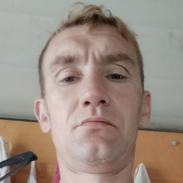 �������, �����, 41 ���