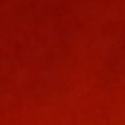 ��������, 42 ����, �����