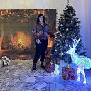 ���� ����������, �����-���������, 54 ���� - ��������� 12 ������ 2026