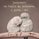 ���� �������, ������ - ��������� 21 ������ 2026 � ������ ������ ��������