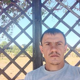 , 41, 