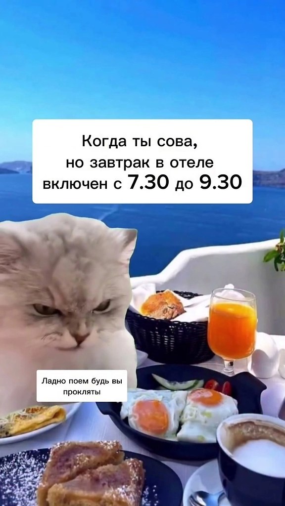      .  ,  ? - 2
