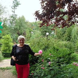 ����� ���������, ���������, 52 ����