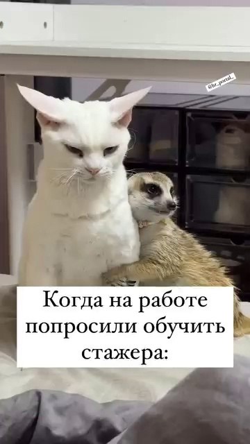       !) - 2