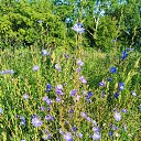 ���� ���������, ������, 37 ��� - ��������� 3 ������� 2025 � ������ ���� ����������