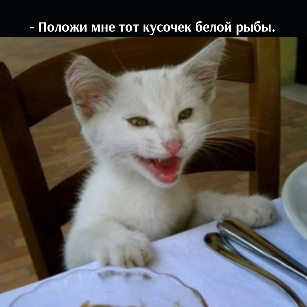       - 7  2025  16:10 - 2