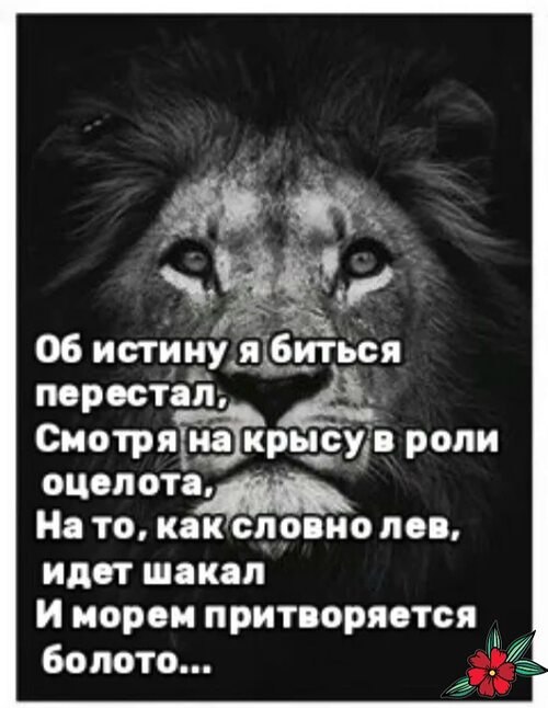   ! - 1  2025  22:13