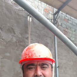  , 44, 