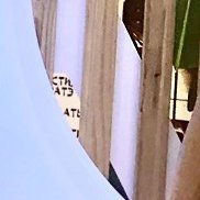 ���, 42 ����, �������