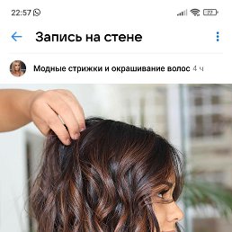 ���� �����, ����������, 42 ���� - ��������� 13 ������ 2024