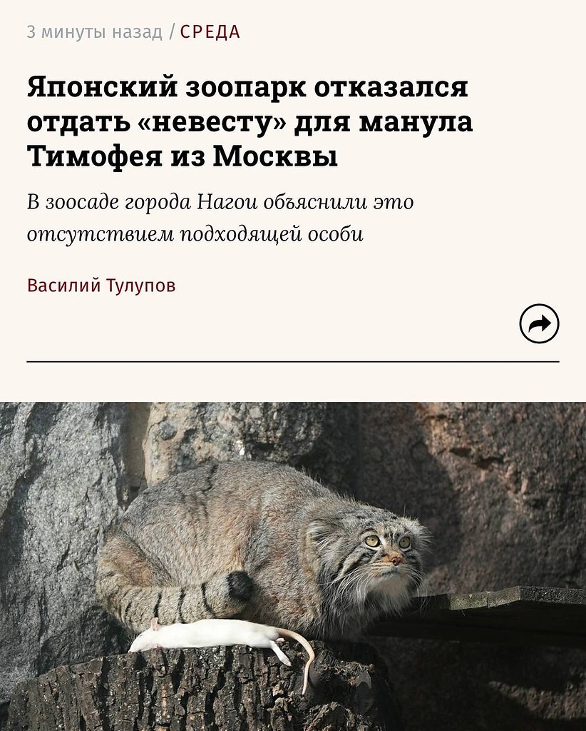�������� ������� ������� ��������� ���� ��� ������ �������, �� ������� �� �������. ������������� ... - 2