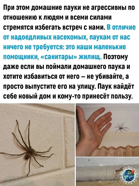  |  |   5 - 25  2025  04:43 - 3