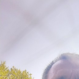 ���������, ������, 58 ���