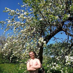 ������, �����-���������, 36 ���