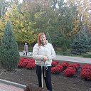 ���� ��������, ������, 53 ���� - ��������� 12 ������� 2024 � ������ ���� ����������