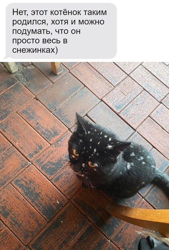    )