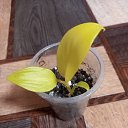 ���� ������, ������, 53 ���� - ��������� 1 ������ 2023 � ������ ���� ����������