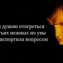 ���� Vladimir, ������, 44 ���� - ��������� 6 ���� 2026