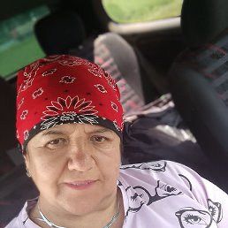, , 53 
