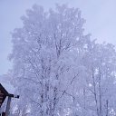 ���� ����, �����������, 35 ��� - ��������� 17 ������� 2023 � ������ ���� ����������