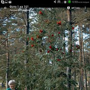 ����, 60 ���, ������������