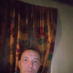 , 38, 