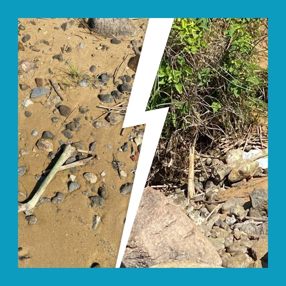 Двухлетний мальчик выкопал человеческие кости на пляже в Великобритании.Отдых на Сонтон-Сэндс ... - 2