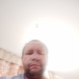 ��������, 48 ���, ������