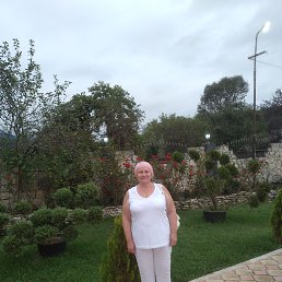 , 65, 