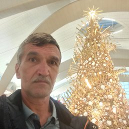 , 57, 