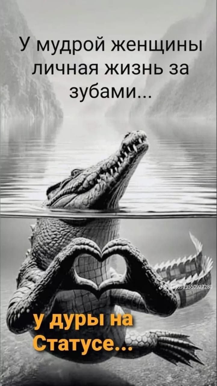 ***Victoria Viktorovna*** - 8  2025  05:31